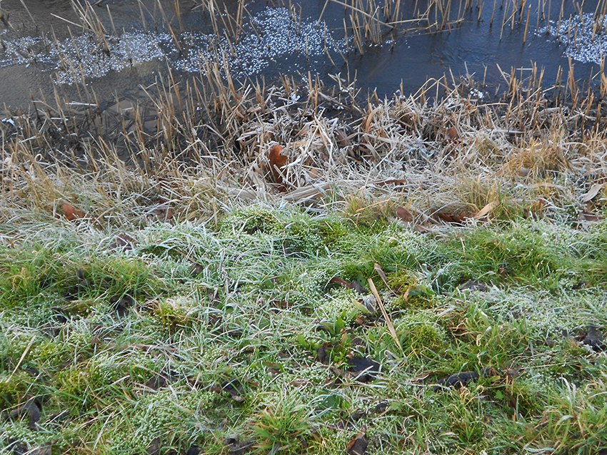 12012013-1