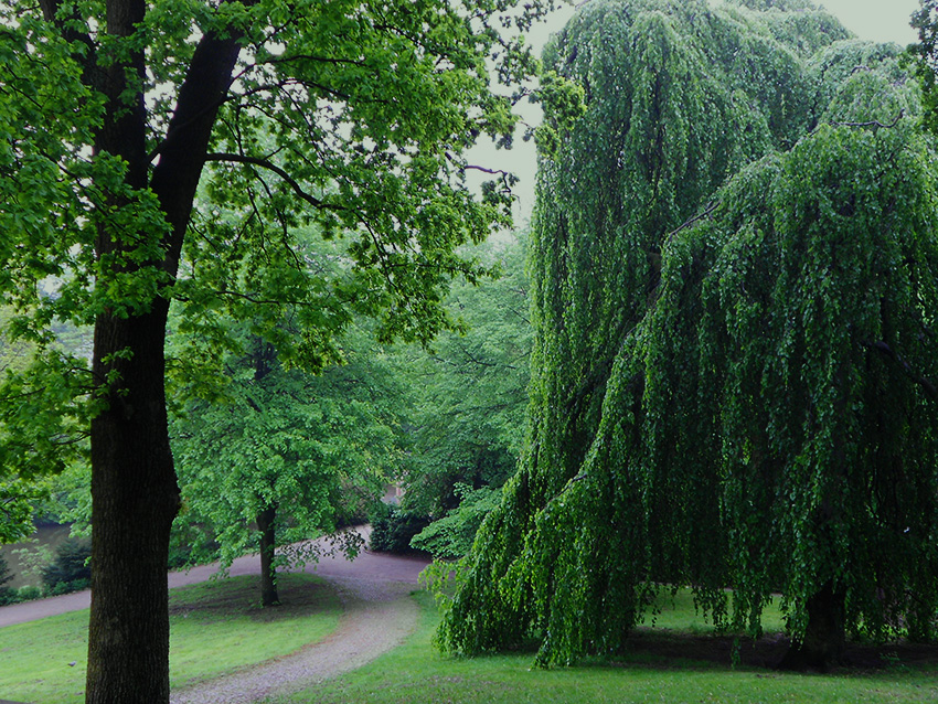 Gruen2_BremerPark