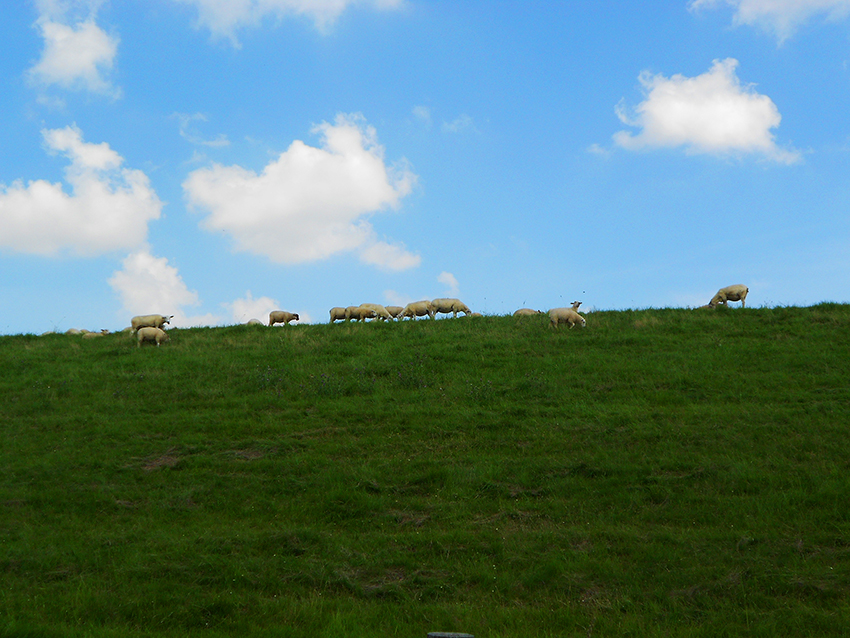 Fahrradtour29072013-2