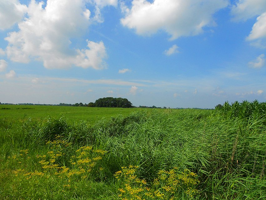 Fahrradtour29072013-3