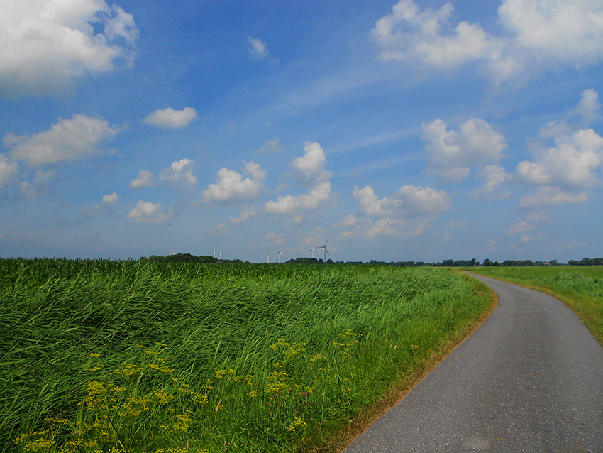 Fahrradtour29072013-6