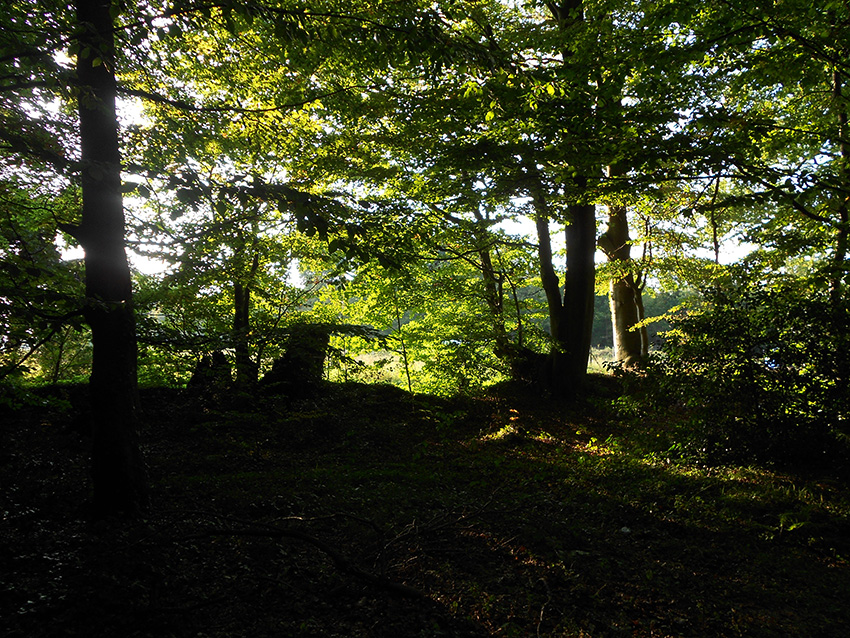 DSCN1956_1