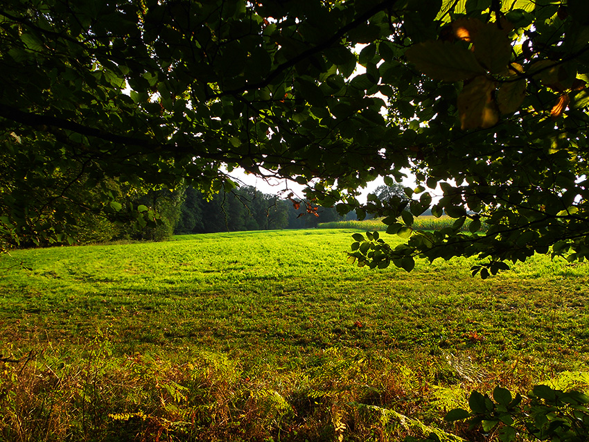 DSCN1976_1
