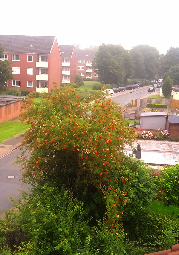 SamstagMorgen
