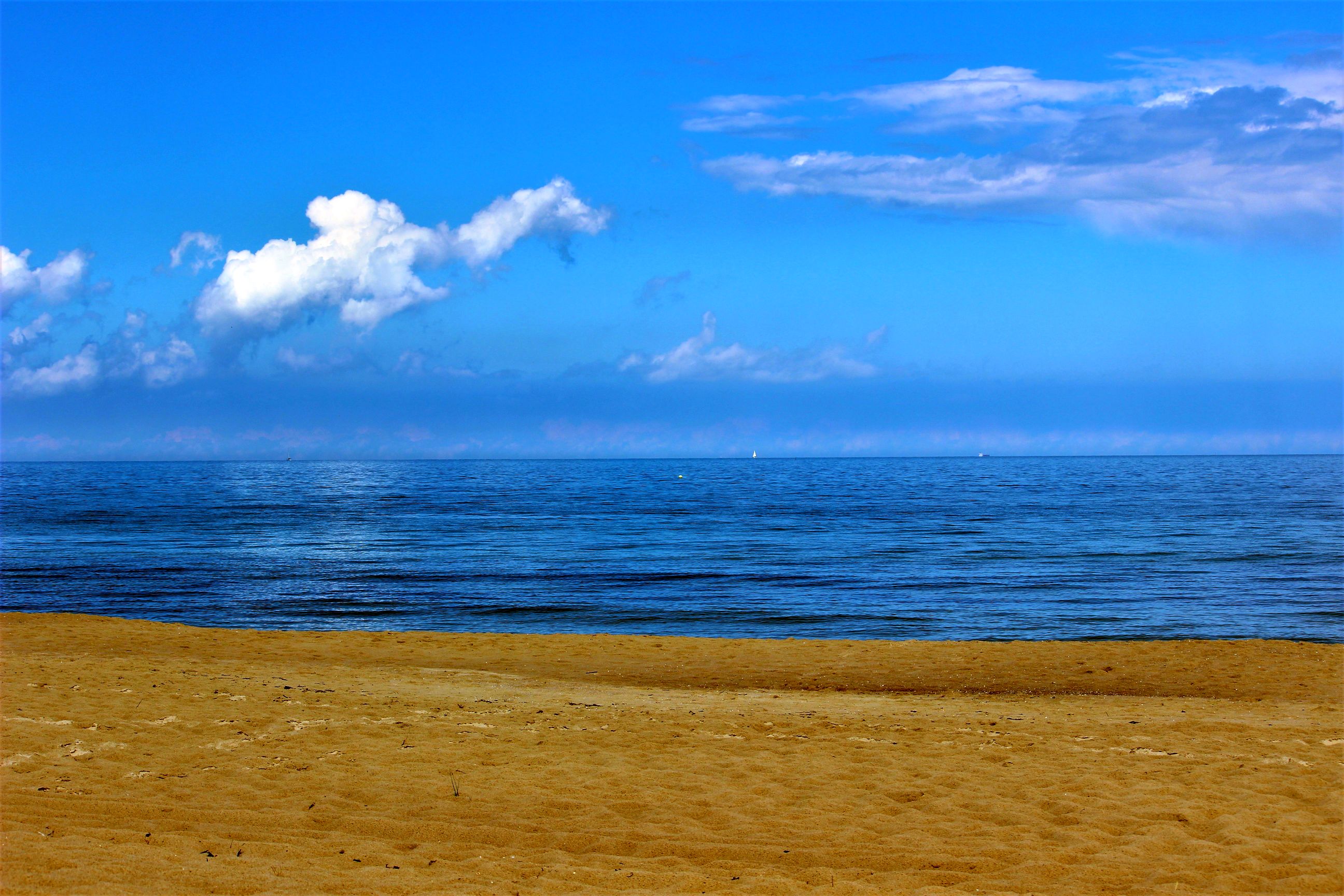 Binz_2022_10