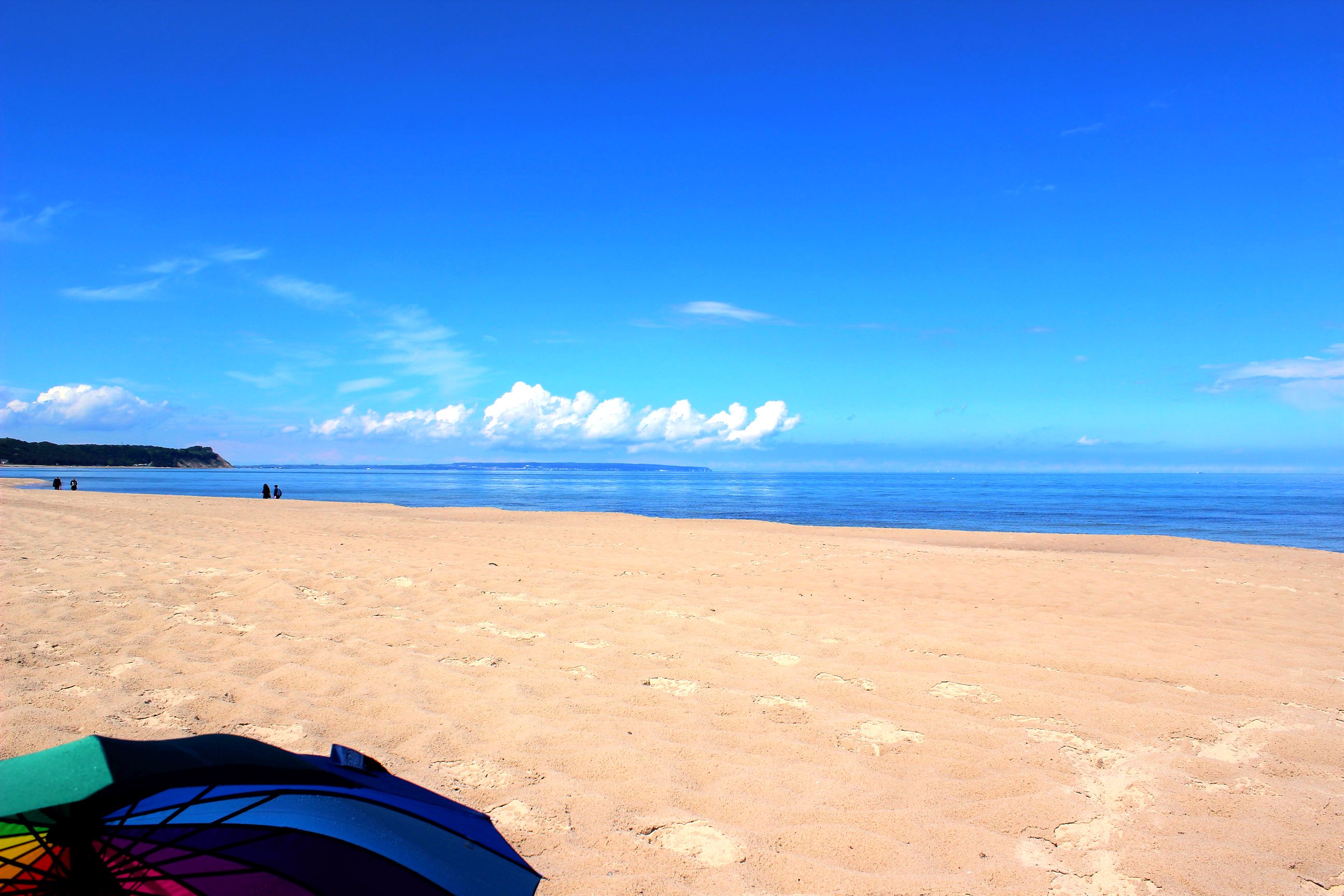 Binz_2022_11