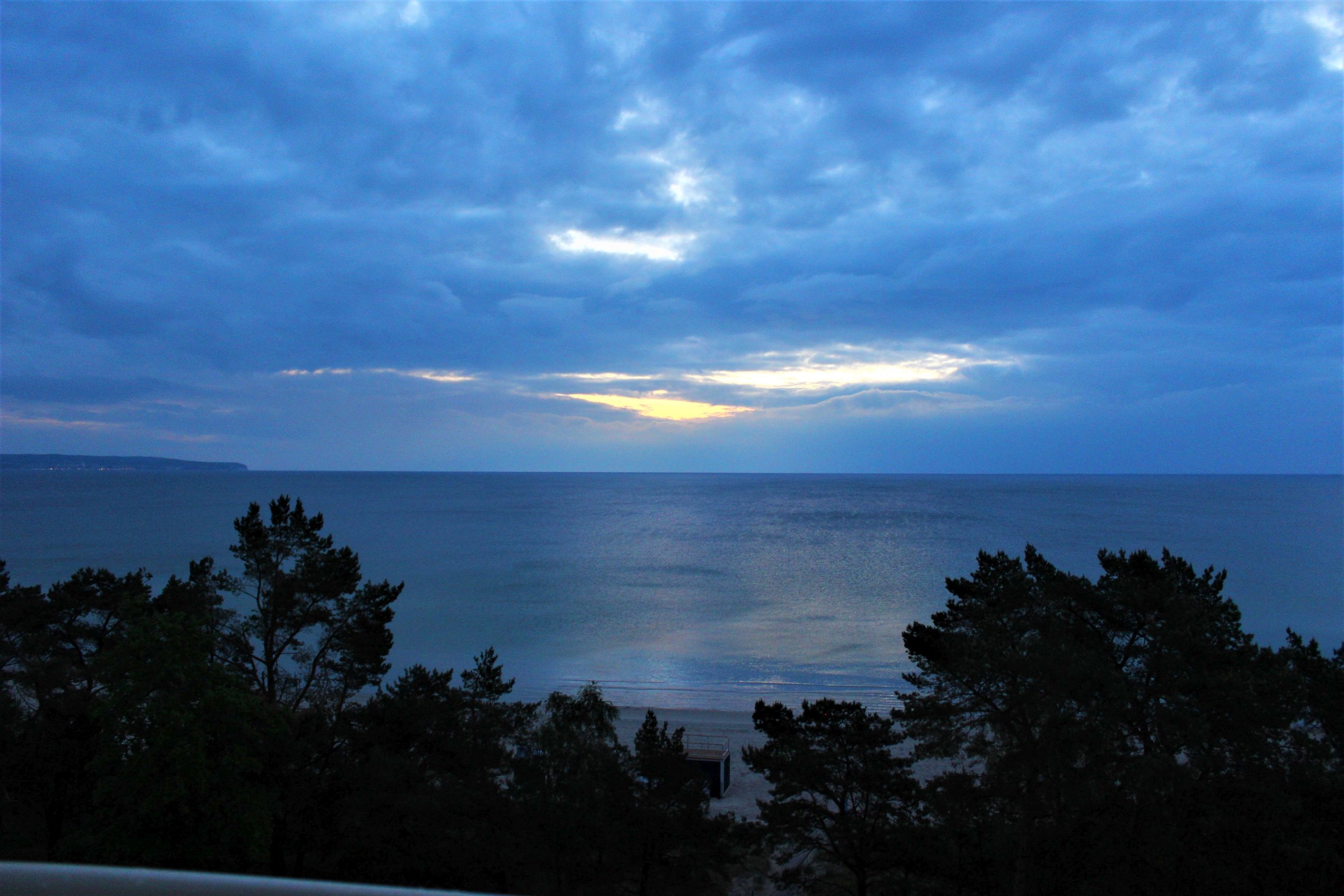 Binz_2022_12