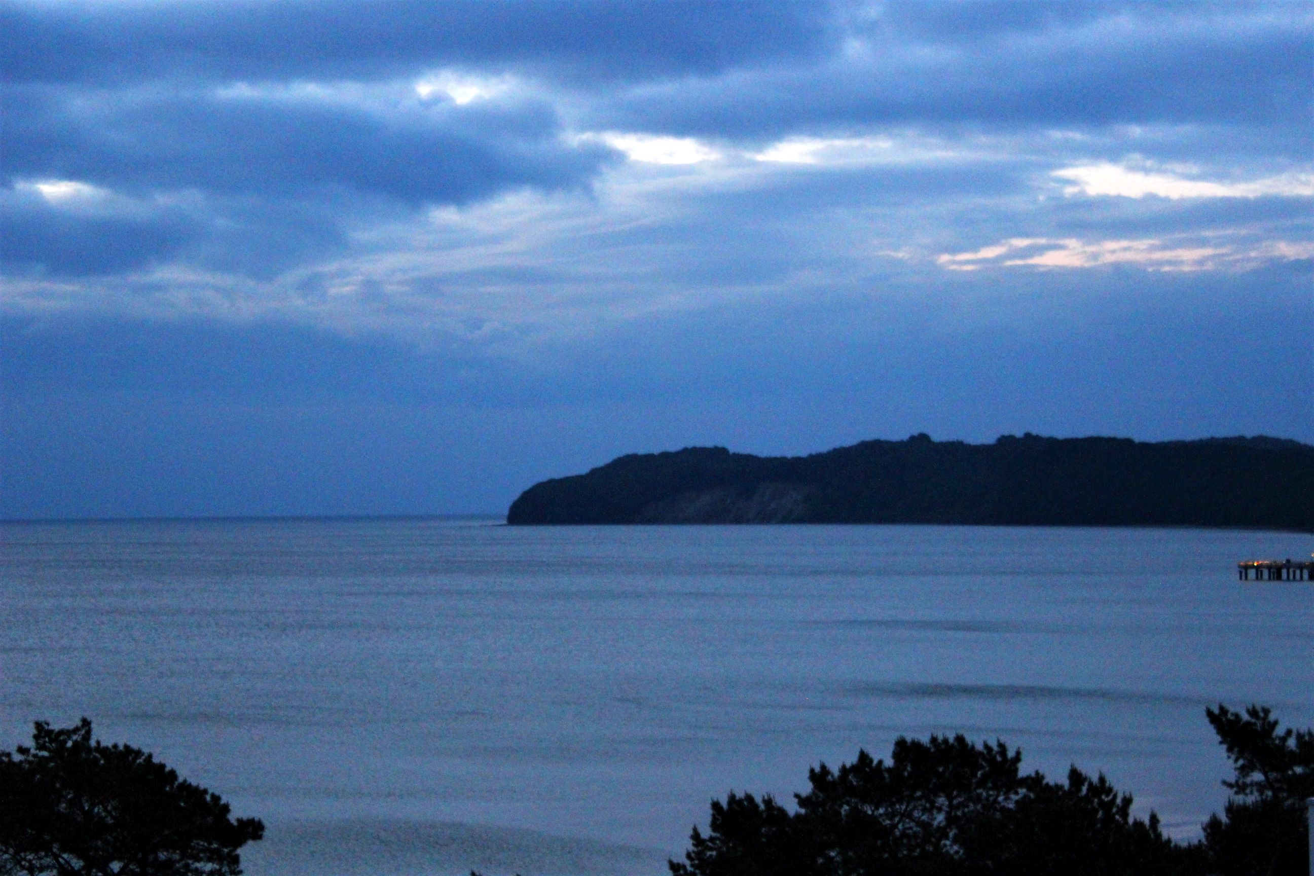 Binz_2022_14