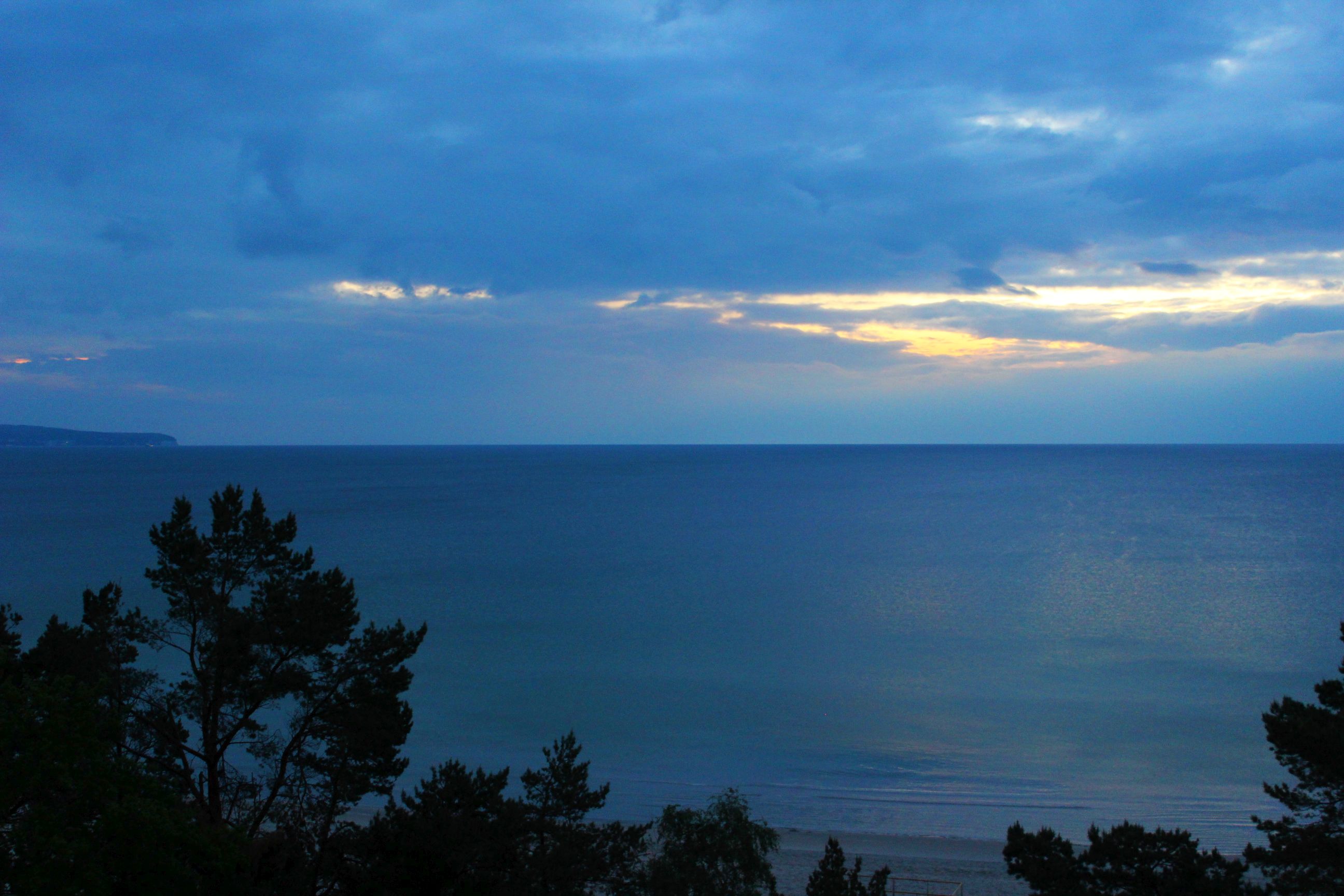 Binz_2022_15