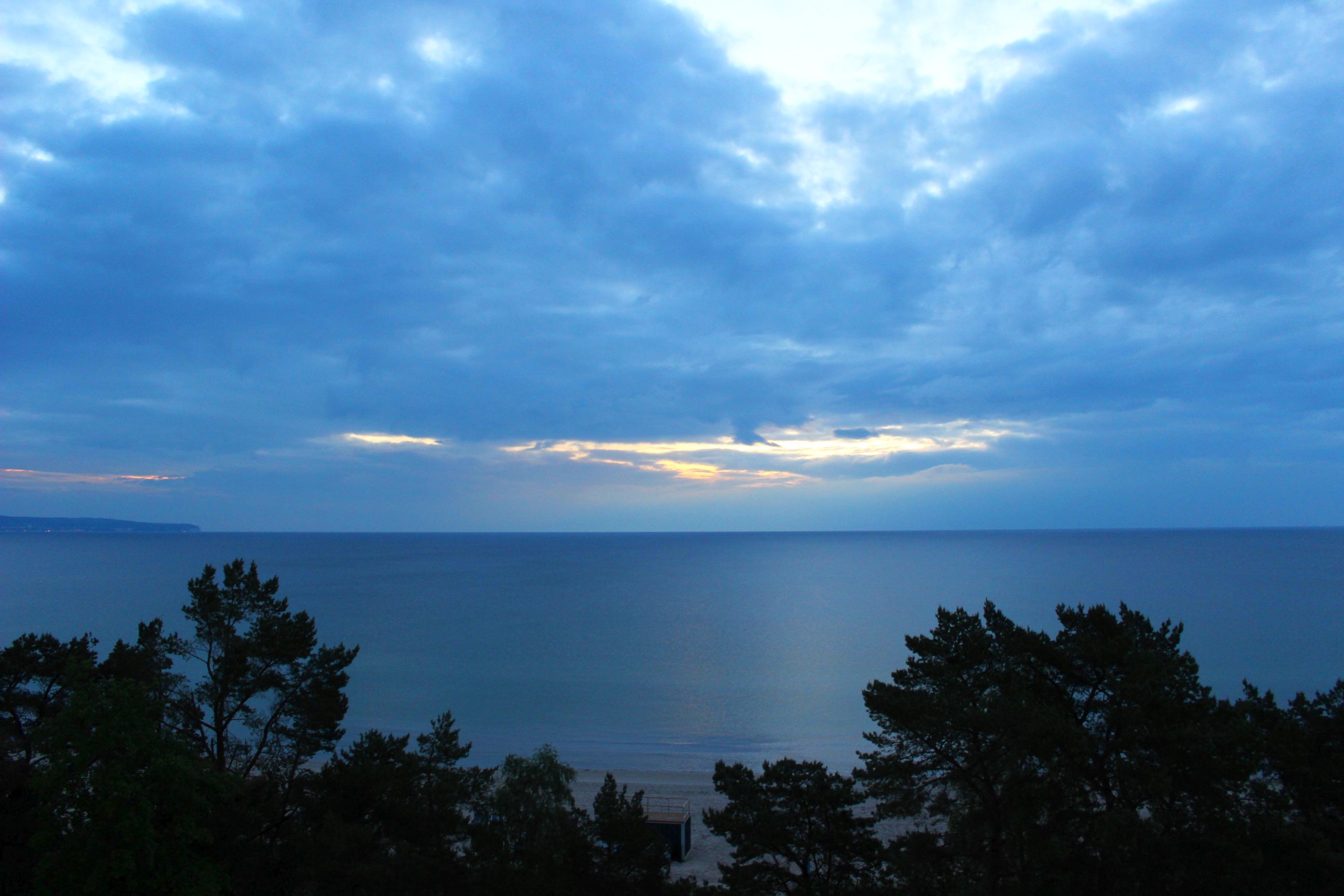 Binz_2022_16