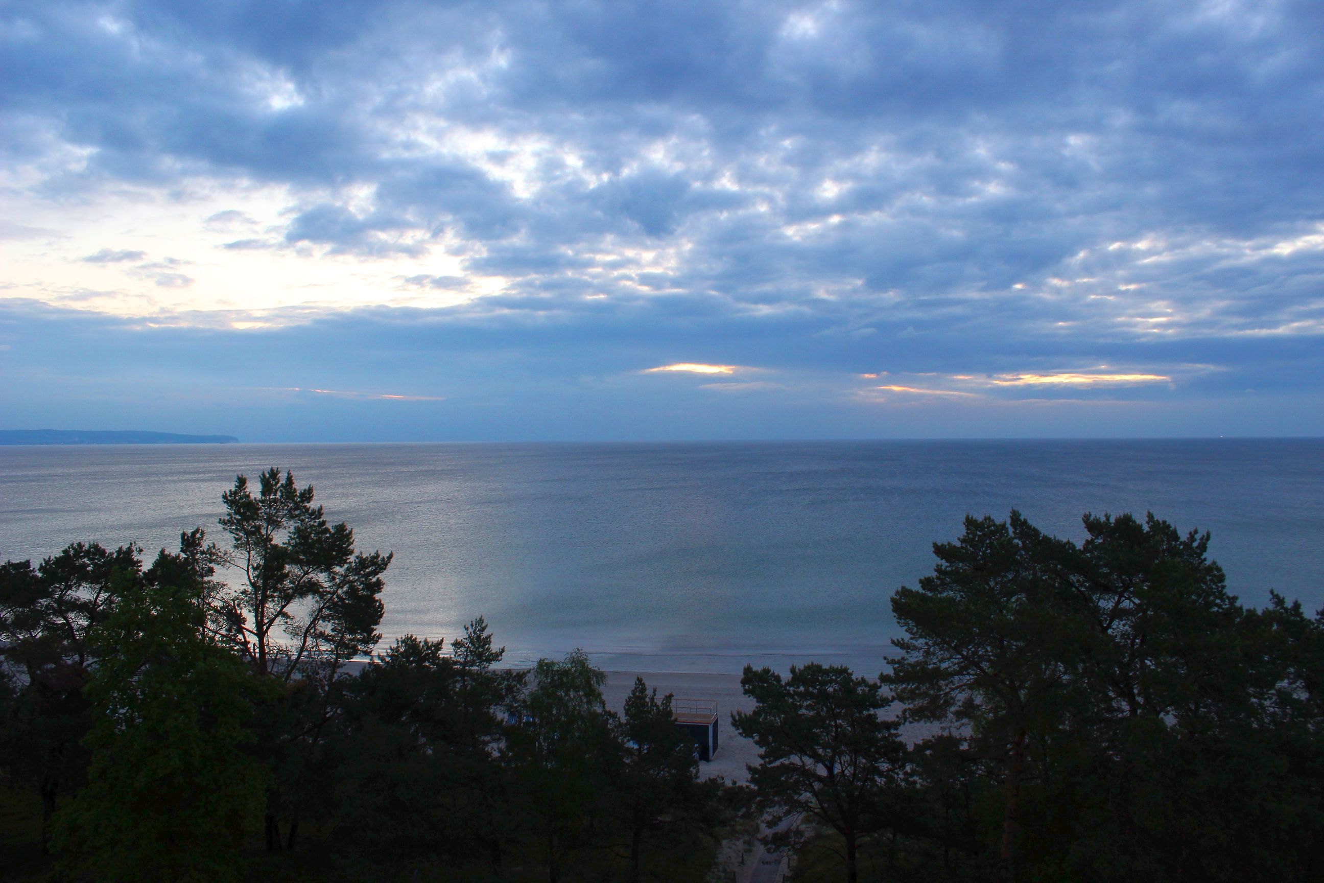 Binz_2022_19