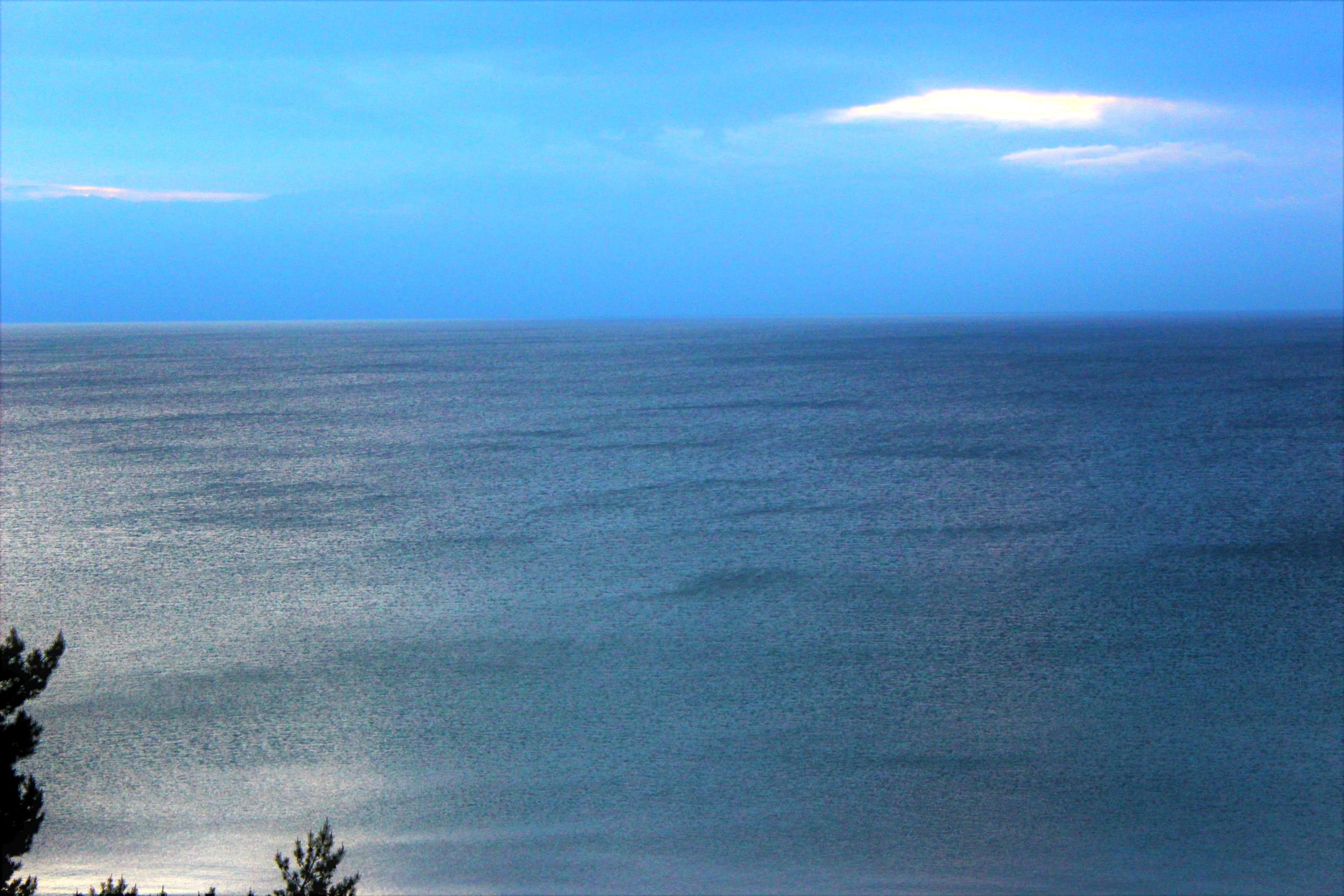 Binz_2022_20