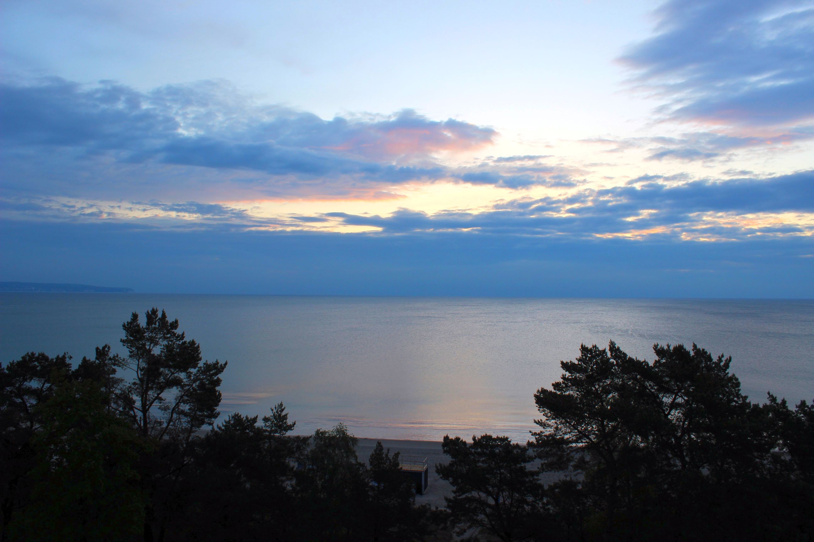 Binz_2022_21
