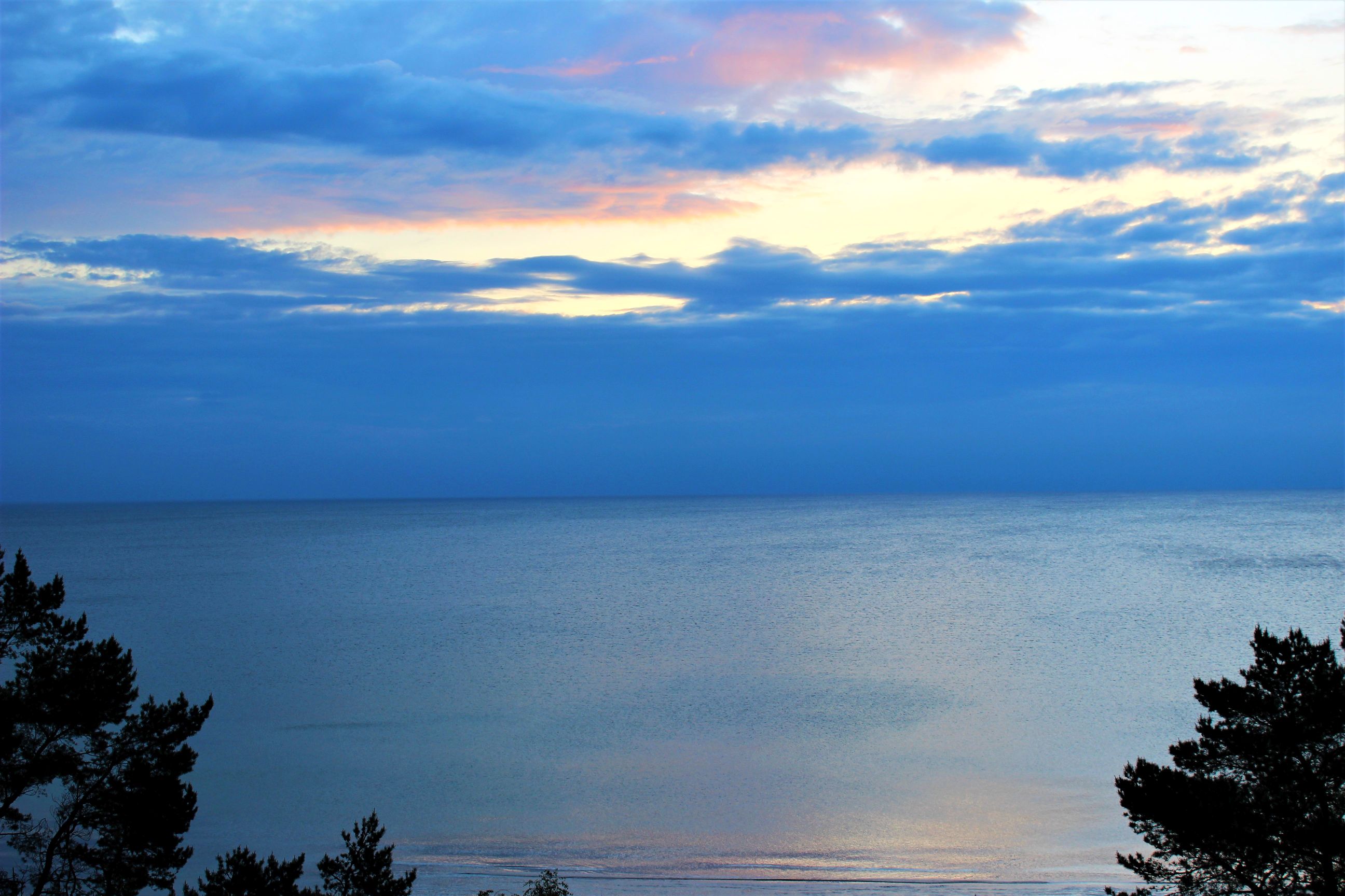 Binz_2022_22