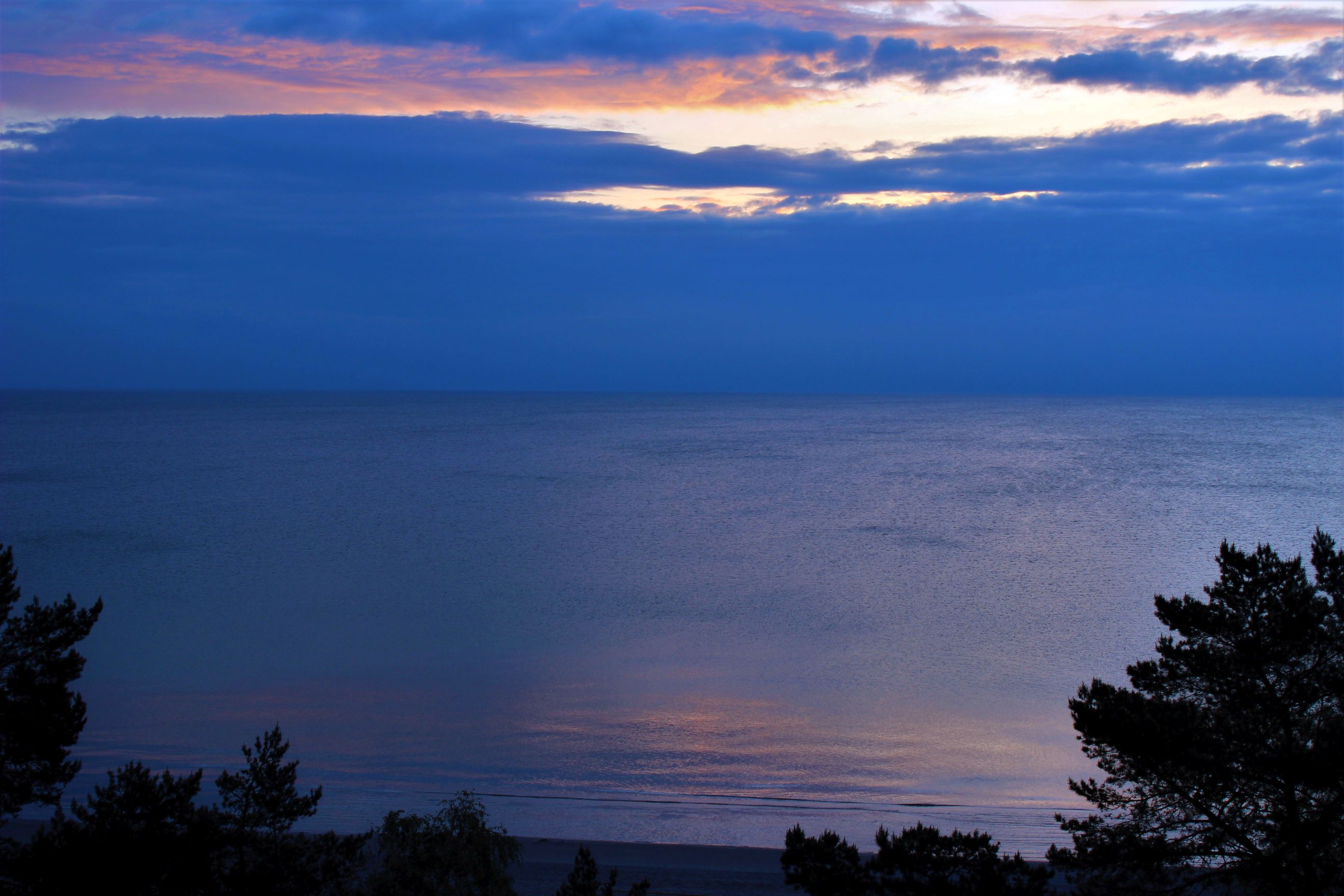 Binz_2022_23
