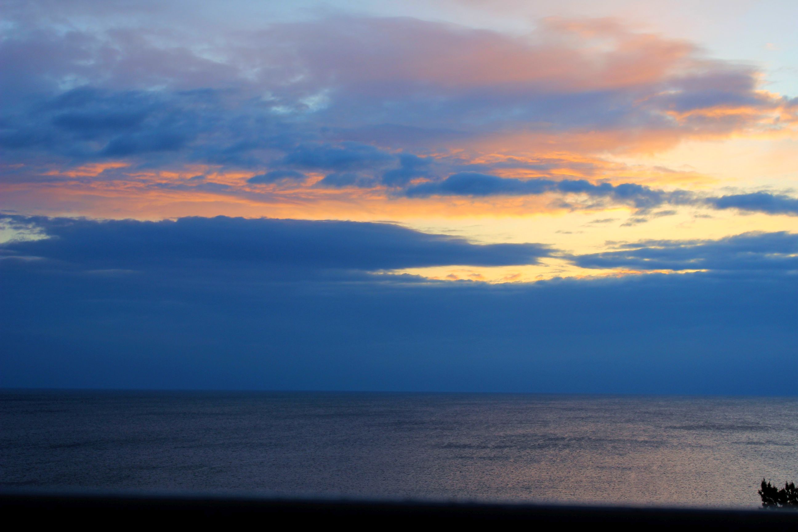 Binz_2022_24