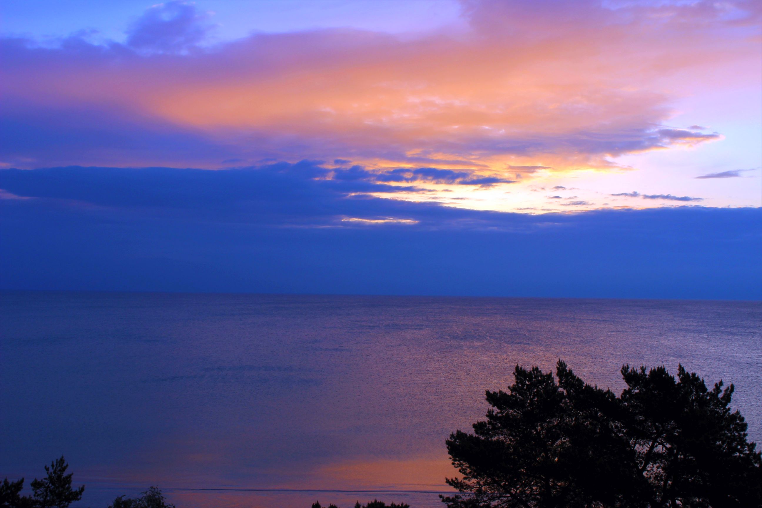 Binz_2022_25