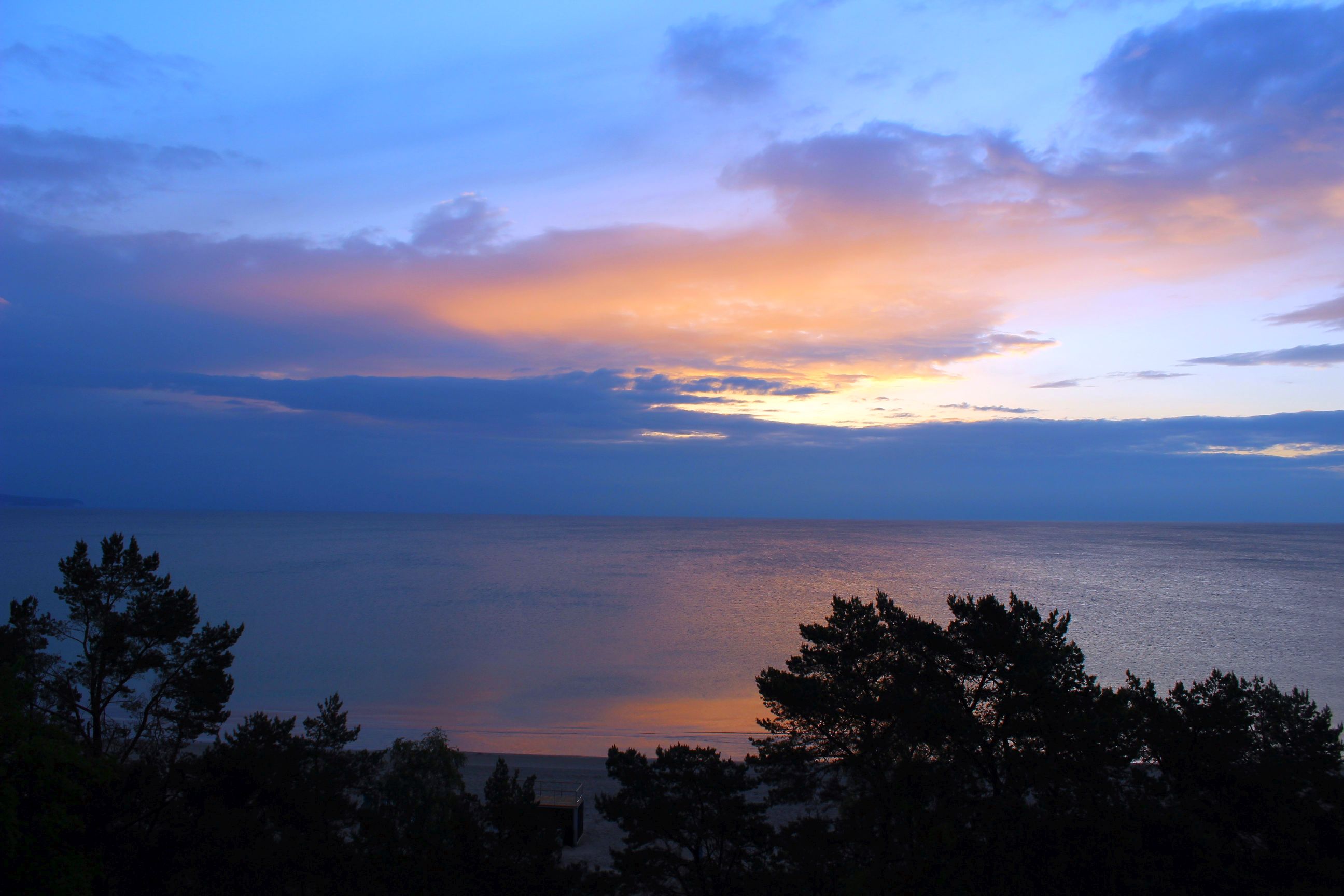 Binz_2022_26