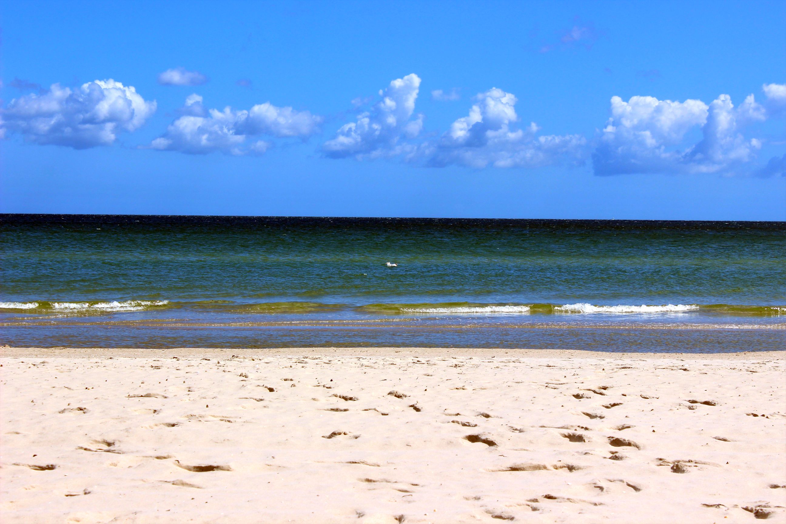 Binz_2022_27