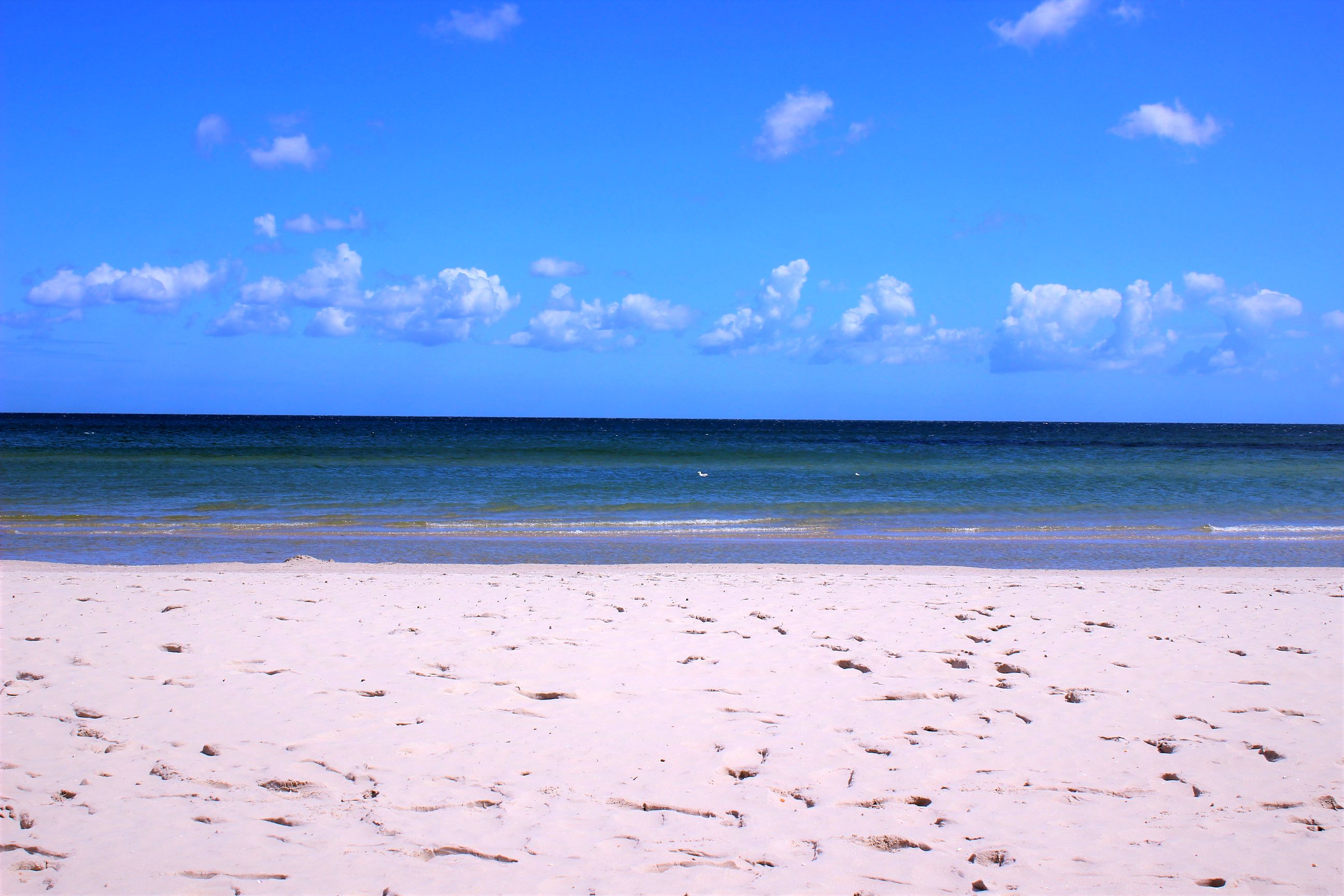 Binz_2022_28