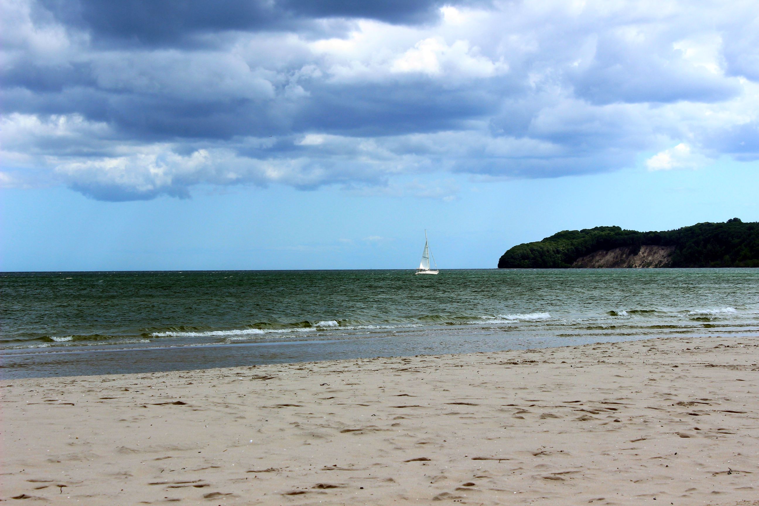 Binz_2022_29