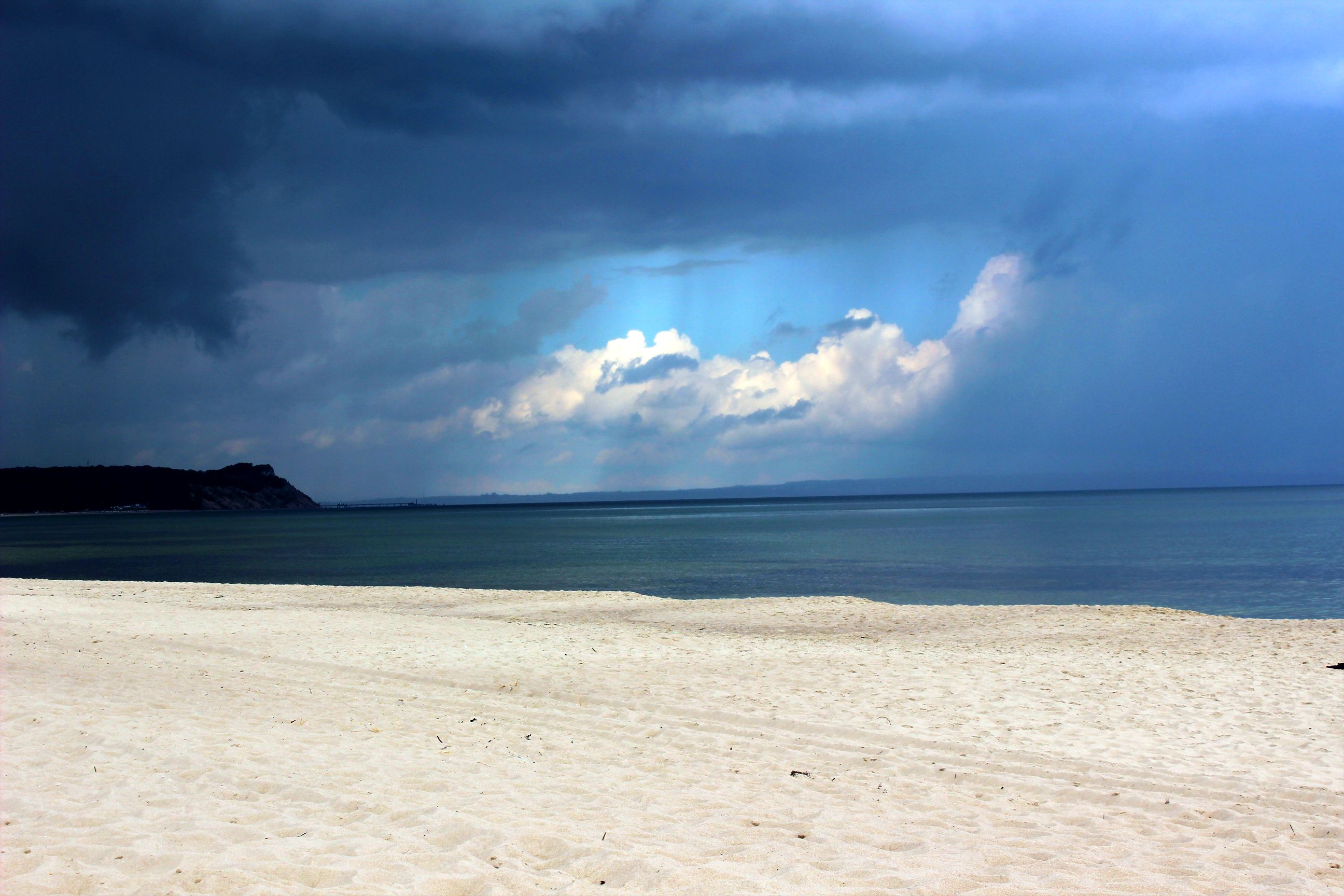 Binz_2022_3