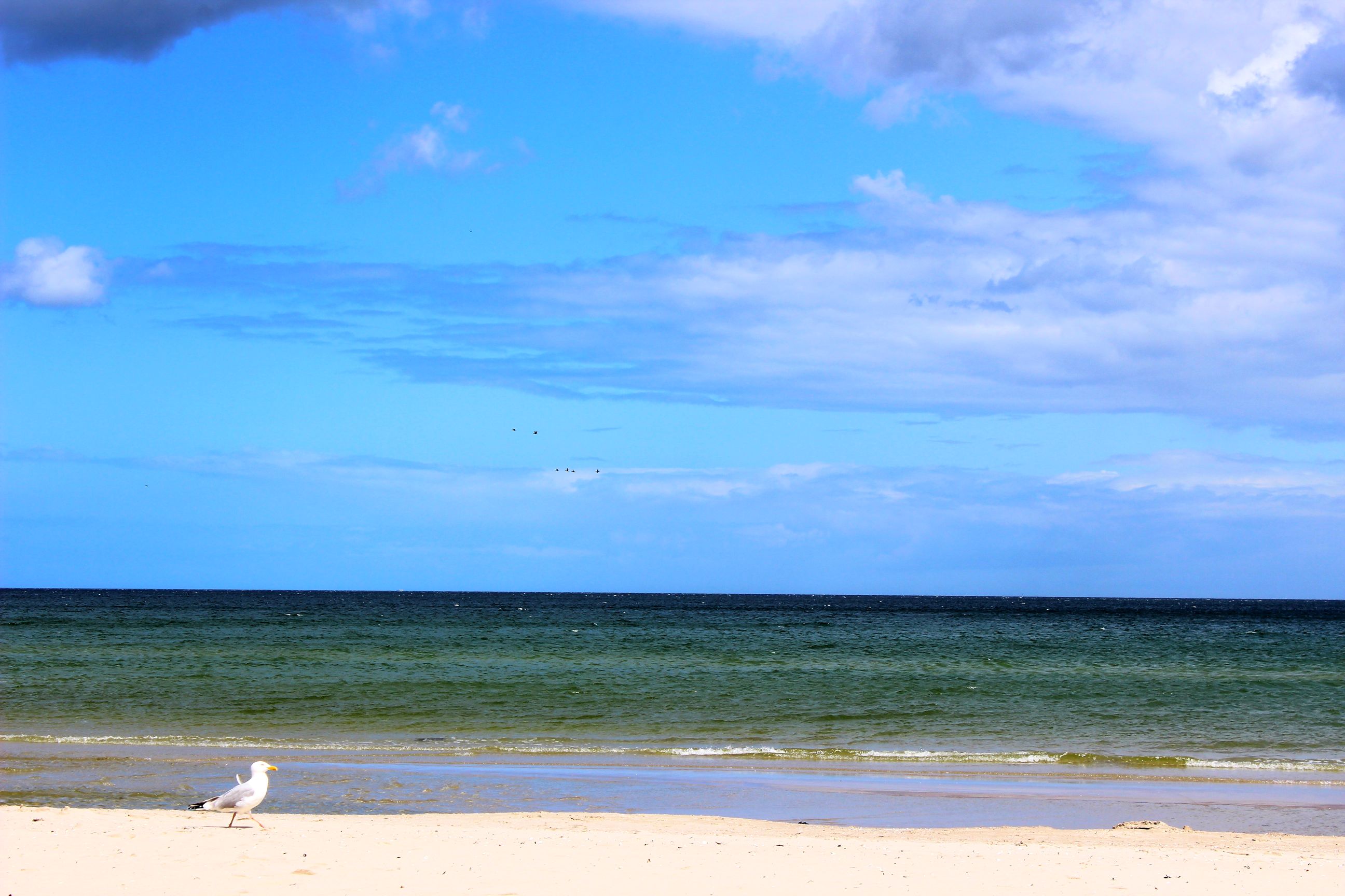 Binz_2022_30