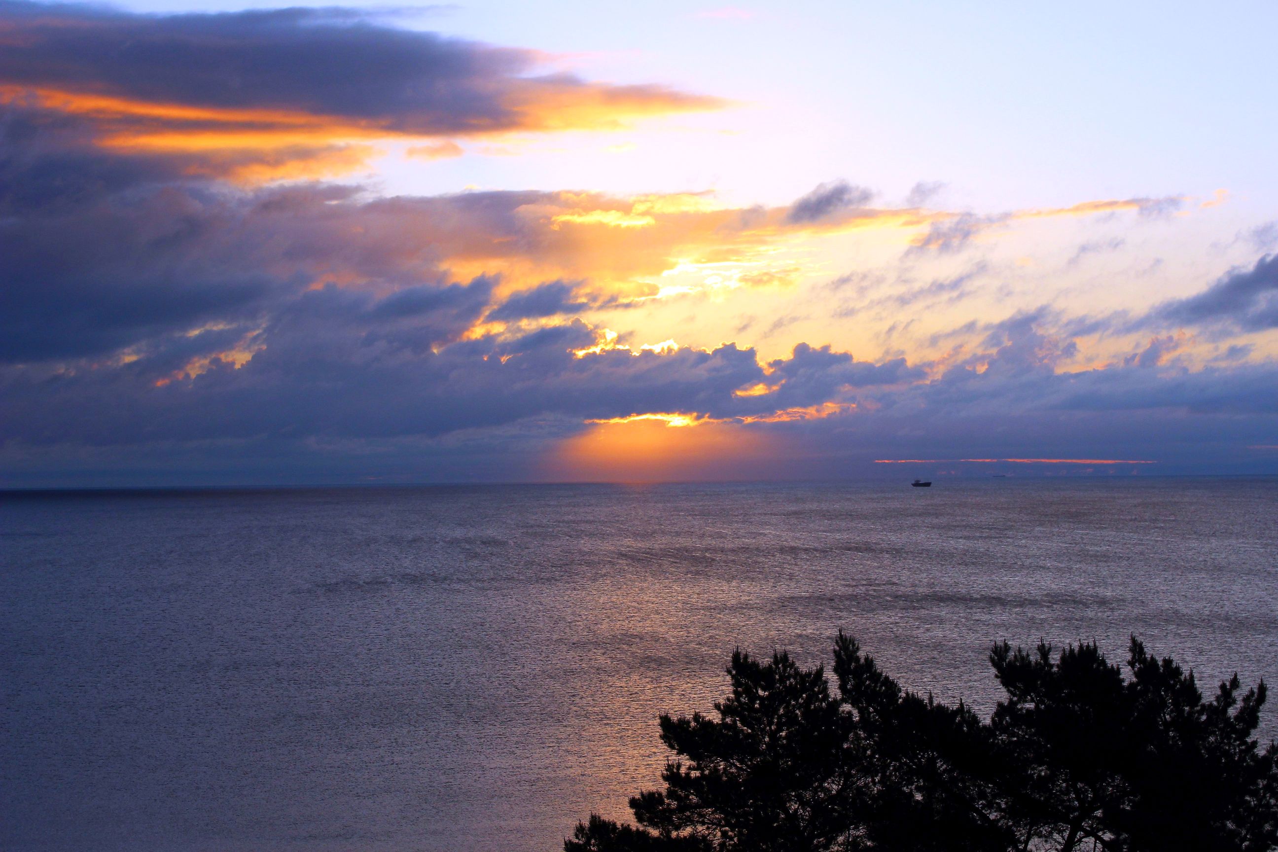Binz_2022_31