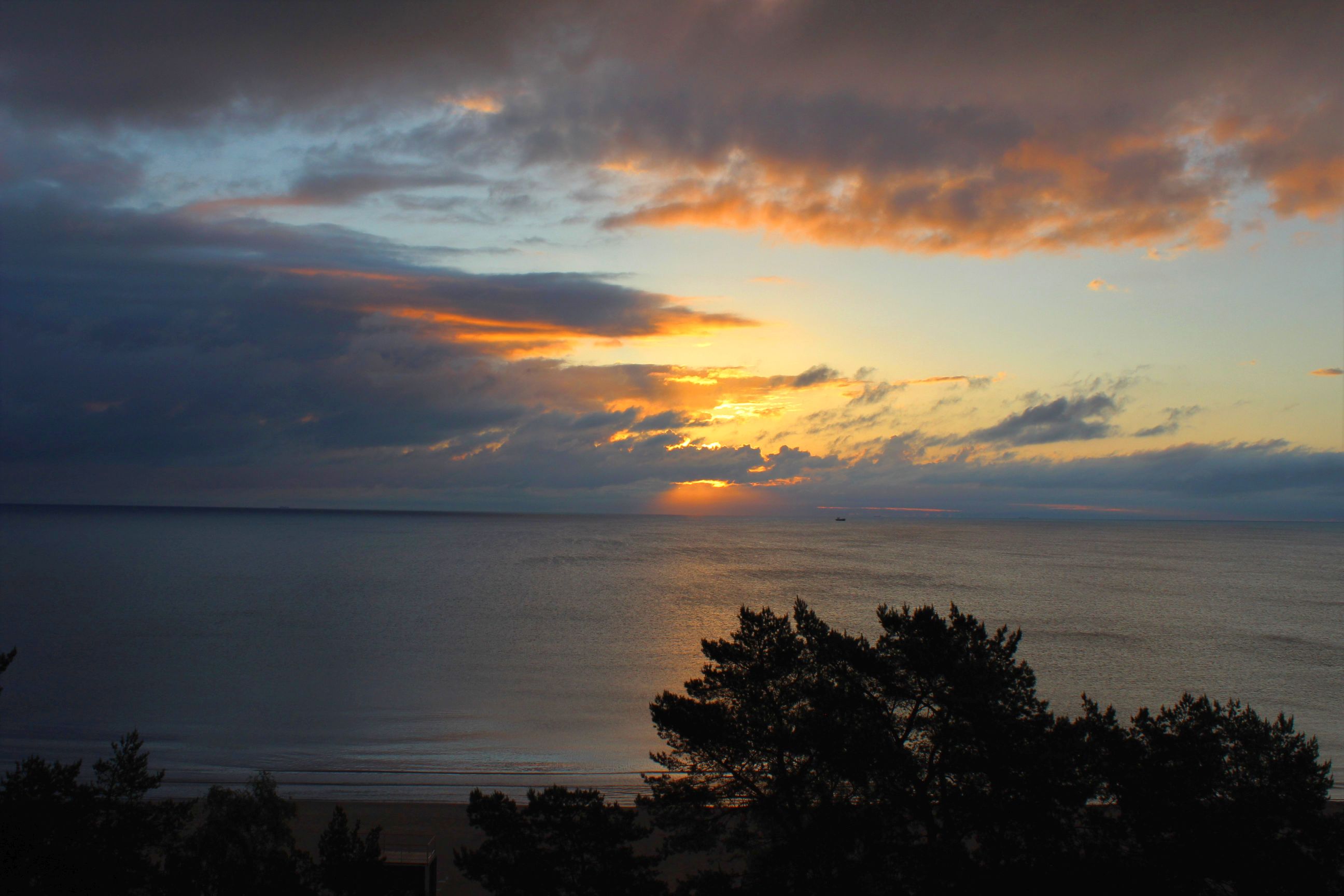 Binz_2022_32