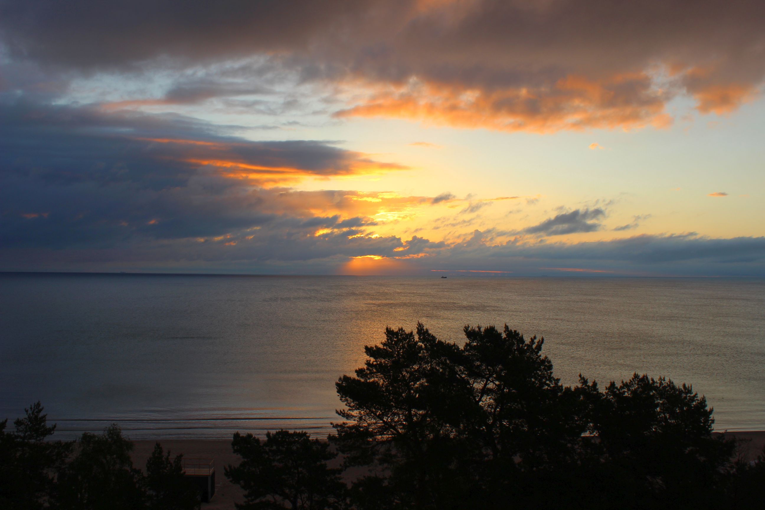 Binz_2022_33