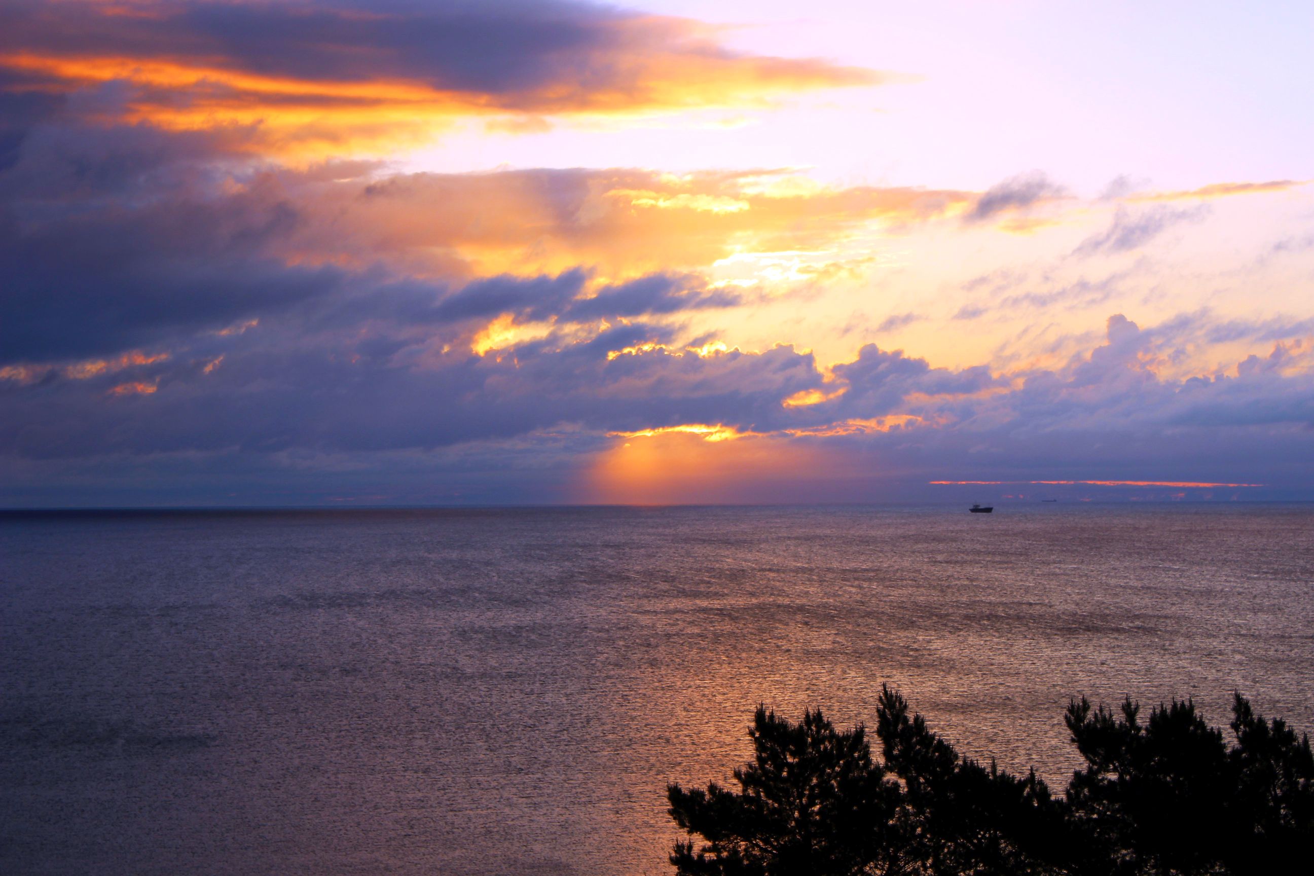 Binz_2022_34