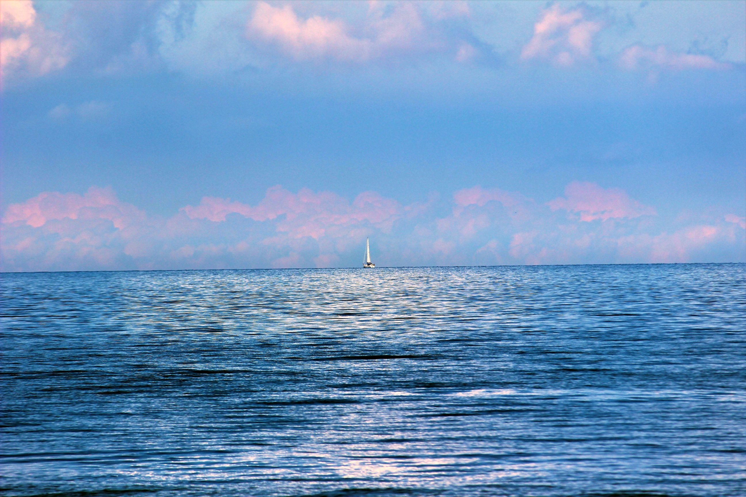 Binz_2022_9