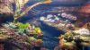 Zoo_Aquarium