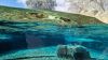 Zoo_Bremerhaven_AnsichtWasser